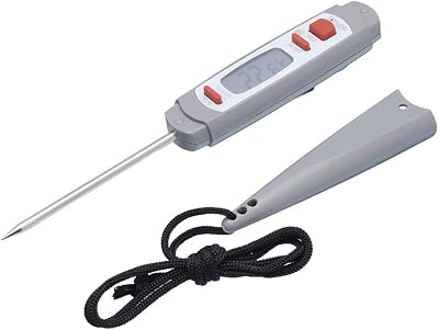 Pro Sonda Termometro Digitale per Carne in Plastica/Acciaio Inox con Custodia Protettiva Antimicrobica, Colore Grigio, 18 cm