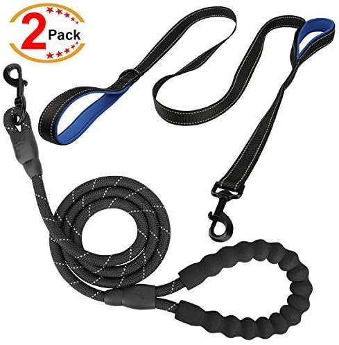 tough dog leash
