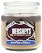 Hershey's by Hanna's Candle 15-Ounce Milk Chocolate with Almonds Jar Candle