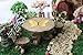 NW Wholesaler Fairy Garden Supply - Fairy Furniture - Butterfly Table & Chairs Set for Miniature Fairy Gardens