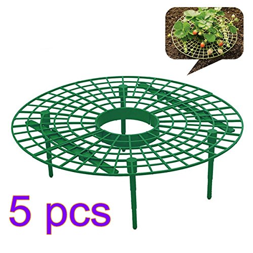 ADSRO 5Pack Strawberry Supports Plant Support Cage Stand with 4 Sturdy Legs Great for Keeping Fruit Elevated to Avoid Ground Rot, Mold and Dirt