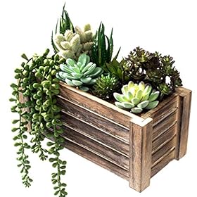 Artificial Succulents in Pots - Fake Succulent Plants, Artificial Plants for Home Decor Indoor, Faux Succulents for… 51l4dQG7D3L