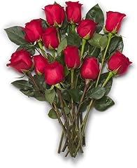 FLORAL Dozen Roses 40cm, 1 EA