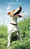 Password notebook: Small internet address and password logbook / journal / diary - Jack Russell Terr by Keep Track Books