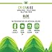 ALOE GLOE Organic Aloe Water, 15.2 Ounce (Crisp Aloe, Pack of 12)