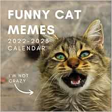 Meme Calendar 2023 Funny Cat Memes 2022 - 2023 Calendar: January 2022 To June 2023 | Kittens  Cute Cats Photo Mini Calendar 2022/2023 | 8.5" X 8.5" | Month To View | 18  ... Present For Colleague Coworker Manager Friend: Calendar Press, Bright  New Year ...