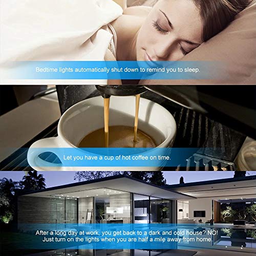 Smart WLAN Steckdose, Alexa Smart Steckdose Mit LED, Smart Plug Kompatibel mit Google Assitant und Alexa IFTTT, und Timing-Funktion, Fernbedienung, Für iOS Android App 2 Pack