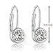 Sterling Silver Lever Back Earrings With Two 5mm/0.8ct Bezel Set Hearts and Arrows Cutting Simulated Diamonds - New Release