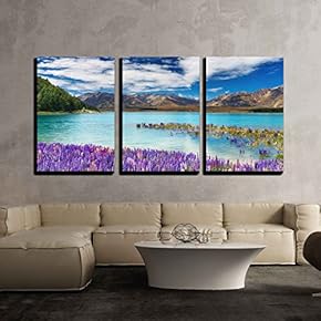 3 Piece Canvas Wall Art - Lake Tekapo, South Island, New Zealand - Modern Home Art Stretched and Framed Ready to Hang - 16"x24"x3 Panels