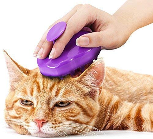 Purr Paw Cat Brush With Extra Soft Silicone Pins Grooming
