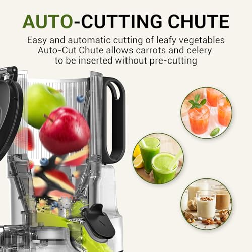 AMZCHEF Automatic Cold Press Juicer Machines 250W Liberate Your Hands -145MM Opening and 2L Capacity Slow Juicers for Whole Fruit and Vegetable, with Triple Filter, Safety Lock, Classic Black