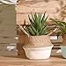 Wensltd Clearance! Seagrass Wicker Basket Wicker Basket Flower Pot Folding Basket Dirty Basket (White)