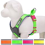 Blueberry Pet 4 Colors Soft & Comfy Summer Hope 3M Reflective Padded Dog Harness Vest, Chest Girth 18.5