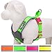 Blueberry Pet 4 Colors Soft & Comfy Summer Hope 3M Reflective Padded Dog Harness Vest, Chest Girth 18.5