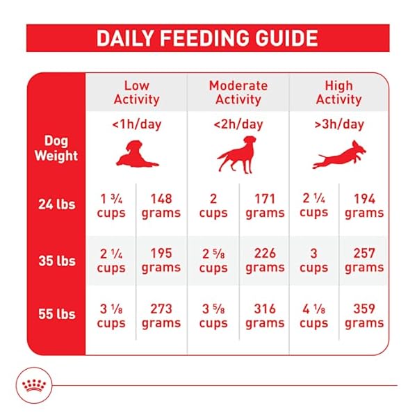 ROYAL CANIN SIZE HEALTH NUTRITION MEDIUM ADULT DRY DOG FOOD, 4 LB BAG