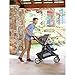 Graco Modes Sport Click Connect Stroller, Alloy