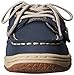 Sperry Billfish Alternative Closure Boat Shoe (Toddler/Little Kid)