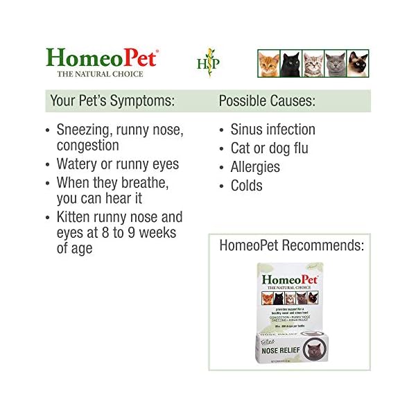 HomeoPet FELINE NOSE RELIEF - 100% Natural Pet Medicine. Support for a healthy nasal and sinus tract. Runny nose, watery…
