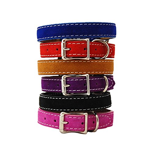 Saratoga Suede Dog Collar 3/4x14 Blue