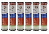 OmniFilter RS1SS 20 Micron 10 x 2.5 Comparable Sediment Filter 6 Pack