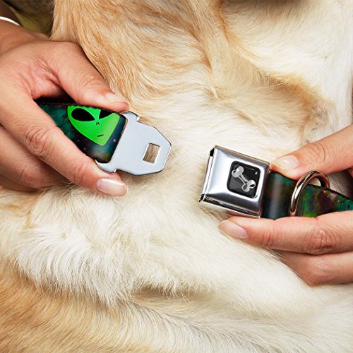 Buckle-Down Flaming Dog Collar Bone