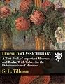 A Text-Book of Important Minerals and Rocks: With Tables for the Determination of Minerals