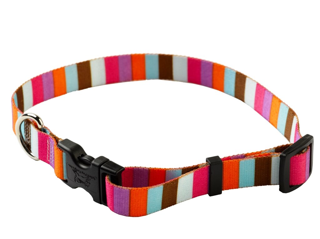 YellowDog Design Multi-Stripe Adjustable Collar, 3/8-inch