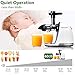 Slow Juicer,AMZCHEF Slow Masticating Juicer Extractor Professional Machine with Quiet Motor/Reverse Function,Cold Press Juicer with Brush,for High Nutrient Fruit & Vegetable Juice