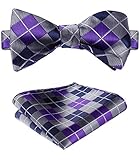 SetSense Men's Plaid Jacquard Woven Self Bow Tie Set One Size Purple /Navy Blue