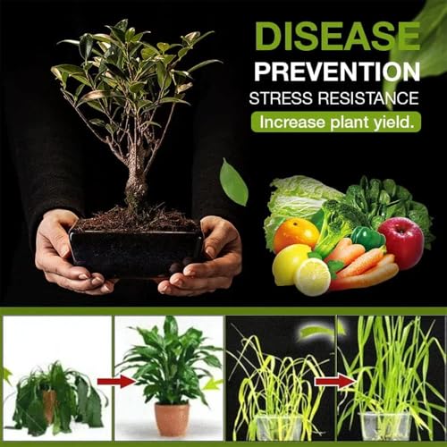 Makingtec Soil Activated Treasure, Organic Conditioner, Premium Plant Flower Fertilizer, Activator For Raised Garden Beds, Potting Mix, Lawns And Gardens (1)