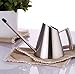 IMEEA Watering Can Indoor SUS304 Stainless Steel Watering Can for Indoor House Plants Long Spout, 30oz / 900ml