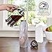 Healthy Human Stainless Steel Curve Water Bottle | 100% BPA Free Thermos for Kids & Adults | Vacuum Insulated Water Bottles | Metal Bottles with Leak Proof Lid (21 oz/ 621 ML, Mirage)