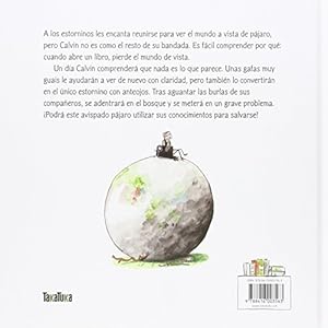 ¡Calvin, ten cuídado! El pájaro ratón de biblioteca necesita gafas (Spanish Edition)