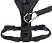 Amazon Basics Adjustable Dog Leash with Harness, Medium (25-50 lbs.)