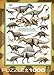 EuroGraphics Dinosaurs Cretaceous 1000 Piece Puzzle