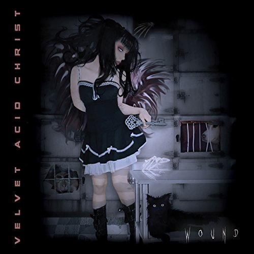 Velvet Acid Christ - Wound - Zortam Music