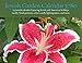 Jewish Garden Calendar 5780: 14 month 2019-2020 calendar featuring Jewish and American holidays, wee by 