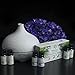 Aromatherapy Essential Oils Gift Set - Pure Natural Essential Oil for Diffusers Humidifiers & Carrier Oils Tea Tree Orange Eucalyptus Lavender Peppermint & Lemongrass 10 ml each Therapeutic Grade