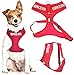 Dexil Service Dog Red Color Coded Non-Pull Front and Back D Ring Padded and Waterproof Vest Dog Harness Prevents Accidents by Warning Others of Your Dog in Advance (S)