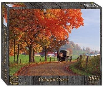 Colorful Curve Jigsaw Puzzle, Doyle Yoder