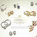 Orrous & Co. Legacy Collection Women's 18K White Gold Plated Cubic Zirconia Angel Wings Stud Earrings, One Size