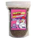 1 Lb Tasty Worms Freeze Dried Mealworms Approximately 16,000 Worms