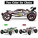CR 2.4 GHz 1:20 Remote Control Racing Buggy Car Crazy Speed RC Off Road Truck with 4 Wheel Shock Absorbers Powerful Battery Aggressive Drifting/Stunts Car RTR