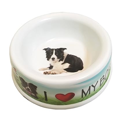 10 inch dog bowl