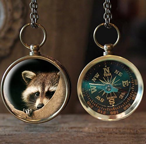 Raccoon Compass Necklace - Raccoon image on one side and real working compass on the other