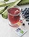 Bigelow Tea Benefits Radiate Beauty Blueberry and Aloe Herbal Teabags Box, Caffeine Free, 18 Count, Pack of 6