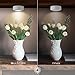 Wireless LED Puck Lights, OxyLED Closet Light, Cordless Battery-Powered LED Night Light with Remote Control, Stick-Anywhere Stair Lights Safe Lights for Hallway, Bathroom, Bedroom (3 Pack Round)