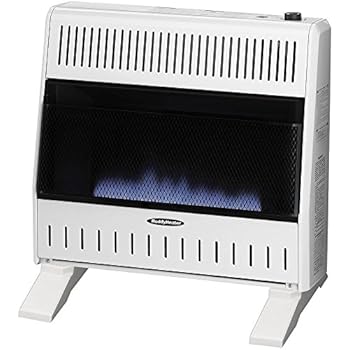 Amazon.com: Reddy Heater 30,000 BTU Propane Forced-Air Heater #RLP30