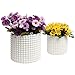 MyGift 6 Inch Ceramic Round Planter Pot, Set of 2 Vintage-Style White Ceramic Flower Pots, Indoor Hobnail Textured Cylindrical Succulent Plant Containers