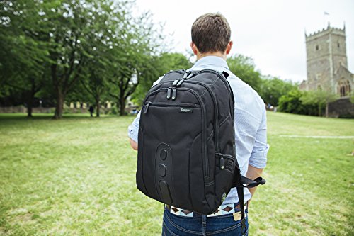targus spruce 15.6 backpack